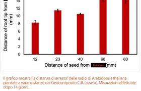 Geocomposito C B 2