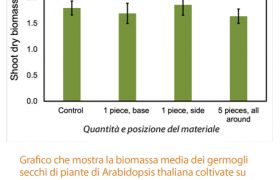 Geocomposito C B 6