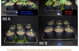 Confronto geosintetici 3